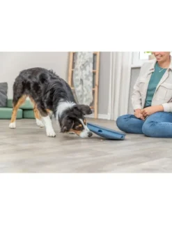 TRIXIE Dog Activity Rocking Maze grau Ø28x5,5 cm