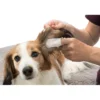TRIXIE Ear Care Ohrenpflege Fingerpads weiß