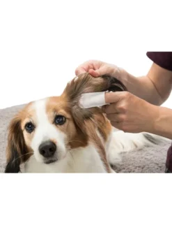 TRIXIE Ear Care Ohrenpflege Fingerpads weiß