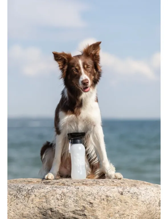 TRIXIE Flasche mit Trinknapf diverse 550 ml