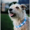 TRIXIE Flash Leuchtband USB blau 50cm / 30mm