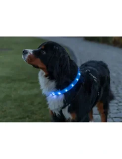 TRIXIE Flash Leuchtband USB blau 50cm / 30mm