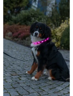 TRIXIE Flash Leuchtband USB pink 50cm / 30mm
