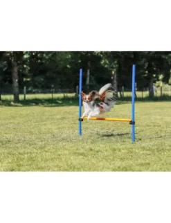 TRIXIE Fun Agility Hürde blau, orange