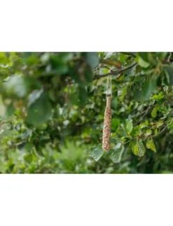 TRIXIE Futterstange mit Hirse 49g