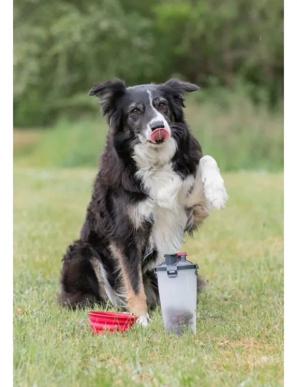 TRIXIE Futter- und Wasserbehälter grau 2 x 0,35 l