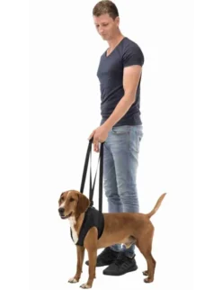 TRIXIE Gehhilfe schwarz 55-65 cm