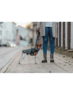TRIXIE Geschirrmantel Pontis grau 24 cm