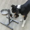 TRIXIE Hundebar 2 x 1,8 l