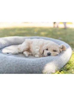 TRIXIE Junior Bett Hund grau 50 x 40 cm