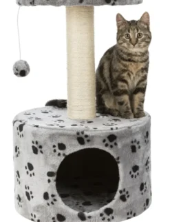 TRIXIE Junior Kratzbaum Toledo grau 61 cm