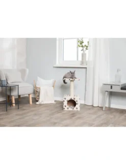 TRIXIE Junior Kratzbaum Zamora mit Pfoten beige 60 cm