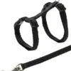 TRIXIE Junior Kätzchengeschirr mit Leine 1,2m 19-31/0,8 cm