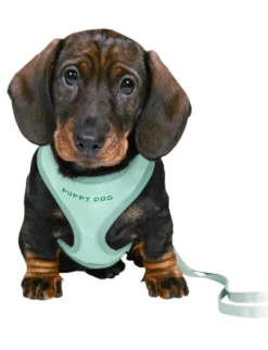 TRIXIE Junior Welpen-Softgeschirr Leine mint 26-34 cm