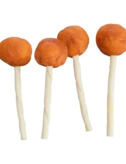 TRIXIE Kabeljau Lolly 9g