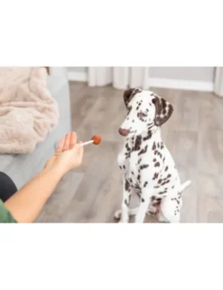 TRIXIE Kabeljau Lolly 9g