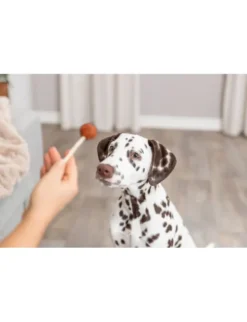 TRIXIE Kabeljau Lolly 9g