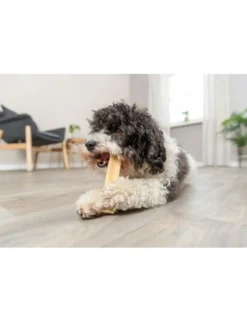 TRIXIE Kaukäse 31g