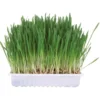 TRIXIE Kleintiergras 100g