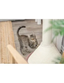 TRIXIE Kratzbaum Viviana rund altrosa 80 cm