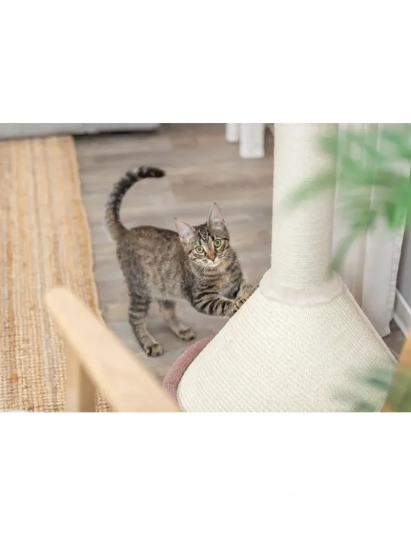 TRIXIE Kratzbaum Viviana rund altrosa 80 cm