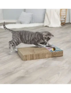 TRIXIE Kratzpappe mit Bällen und Katzenminze bunt