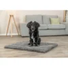 TRIXIE Liegematte Lonni grau 60x45 cm