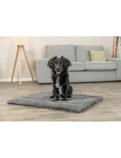 TRIXIE Liegematte Lonni grau 60x45 cm