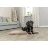 TRIXIE Liegematte Lonni hellbraun 60x45 cm