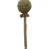 TRIXIE Matatabi Lolli 11 cm