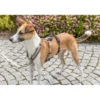 TRIXIE Panik-Adapter Stay Geschirre schwarz S-M