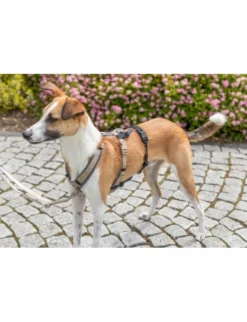 TRIXIE Panik-Adapter Stay Geschirre schwarz S-M