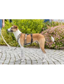 TRIXIE Panik-Adapter Stay Geschirre schwarz S-M