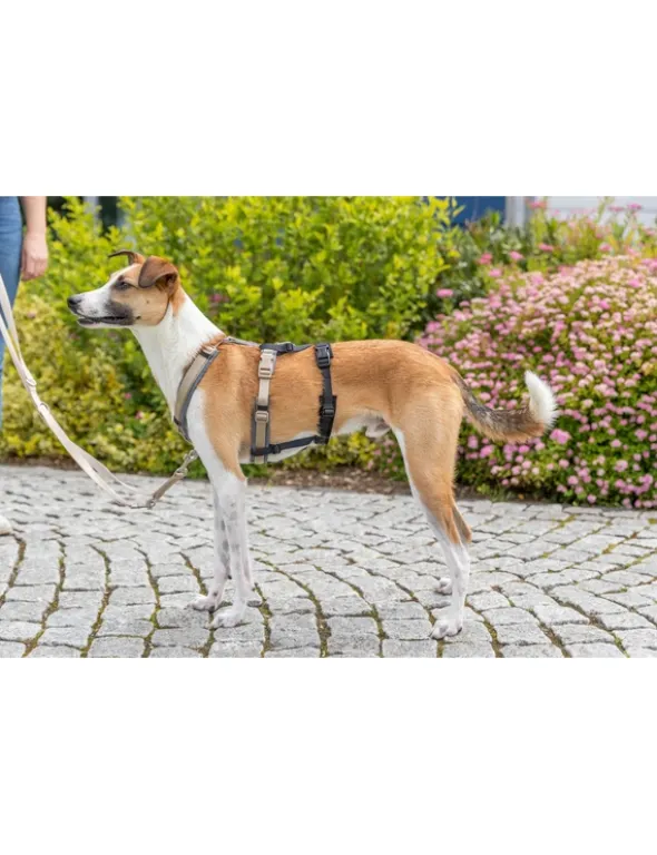 TRIXIE Panik-Adapter Stay Geschirre schwarz S-M