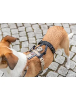 TRIXIE Panik-Adapter Stay Geschirre schwarz S-M