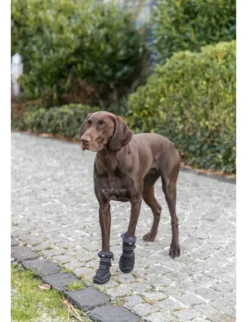 TRIXIE Pfotenschutz Walker Active Long schwarz M