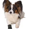 TRIXIE Pfotenschutz Walker Care schwarz S