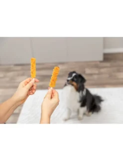 TRIXIE Premio Lolly Hühnerbrust & Karotte 30g