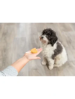 TRIXIE Premio Lolly Huhn & Reis 315,7g