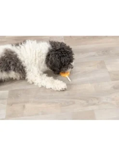 TRIXIE Premio Lolly Huhn & Reis 315,7g