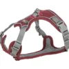 TRIXIE Premium Active Geschirr sangria XS-S