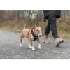 TRIXIE Premium FlexMesh Geschirr schwarz XS-S
