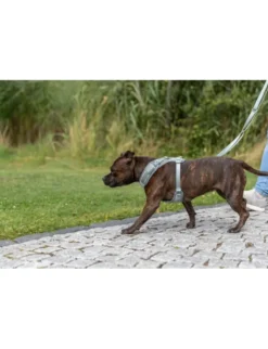 TRIXIE Premium FlexMesh Geschirr salbei XS-S