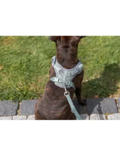 TRIXIE Premium FlexMesh Geschirr salbei XS-S