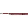 TRIXIE Premium V-Leine sangria 2 m/10 mm