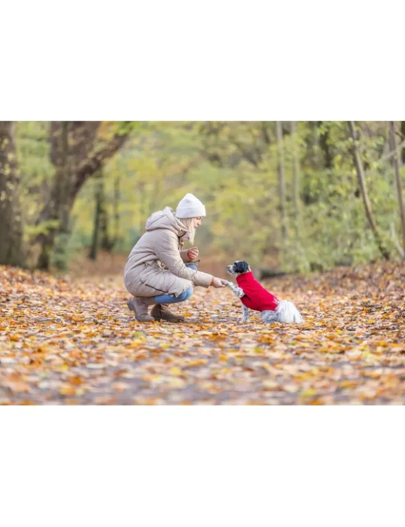 TRIXIE Pullover Norwood rot 33 cm