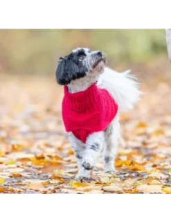 TRIXIE Pullover Norwood rot 33 cm