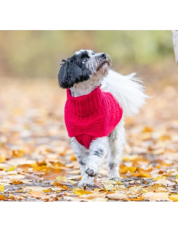 TRIXIE Pullover Norwood rot 33 cm