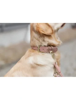 TRIXIE Pure Halsband rosa XS