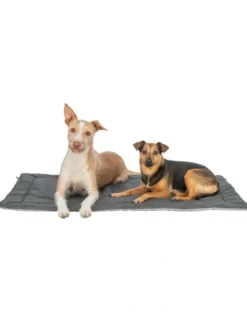 TRIXIE Reisedecke Samoa Classic beige, olivgrün 120x80 cm